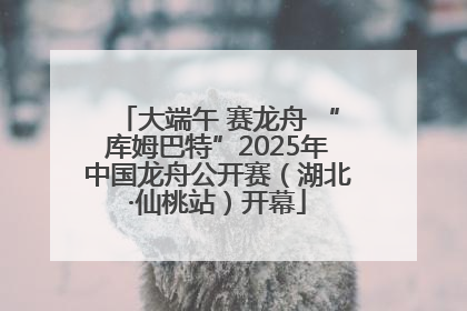 大端午 赛龙舟 “库姆巴特”2025年中国龙舟公开赛（湖北·仙桃站）开幕