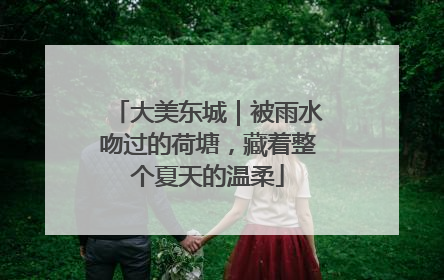 大美东城｜被雨水吻过的荷塘，藏着整个夏天的温柔