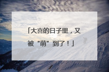 大喜的日子里，又被“萌”到了！