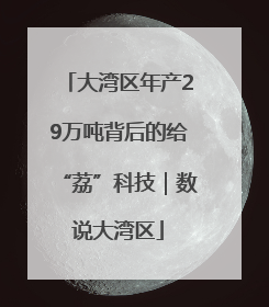 大湾区年产29万吨背后的给“荔”科技｜数说大湾区