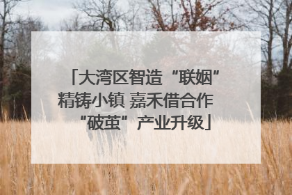 大湾区智造“联姻”精铸小镇 嘉禾借合作“破茧”产业升级