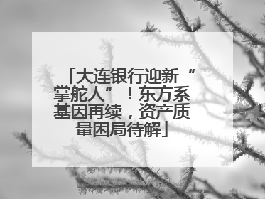 大连银行迎新“掌舵人”！东方系基因再续，资产质量困局待解