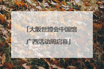 大阪世博会中国馆广西活动周启幕