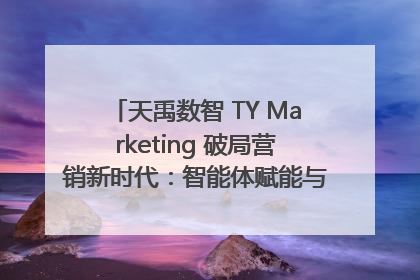 天禹数智 TY Marketing 破局营销新时代：智能体赋能与人才培育双轮驱动