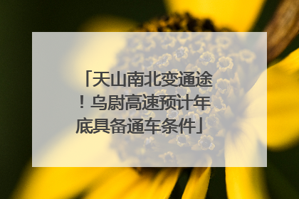 天山南北变通途！乌尉高速预计年底具备通车条件