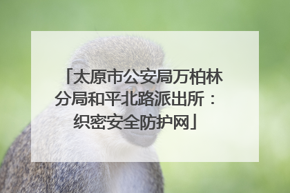 太原市公安局万柏林分局和平北路派出所：织密安全防护网