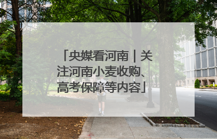 央媒看河南｜关注河南小麦收购、高考保障等内容