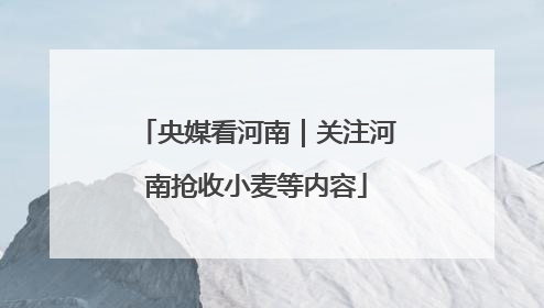 央媒看河南｜关注河南抢收小麦等内容
