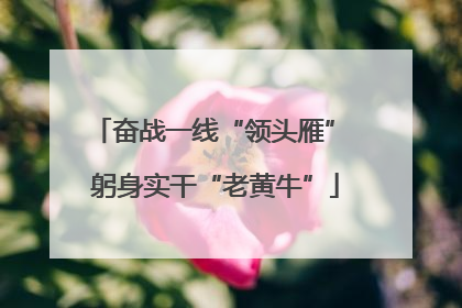 奋战一线“领头雁” 躬身实干“老黄牛”