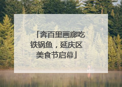 奔百里画廊吃铁锅鱼，延庆区美食节启幕