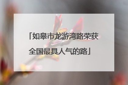 如皋市龙游湾路荣获全国最具人气的路