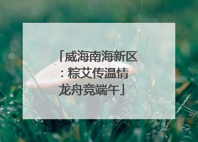 威海南海新区：粽艾传温情 龙舟竞端午