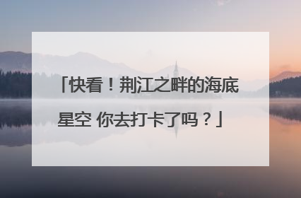 快看！荆江之畔的海底星空 你去打卡了吗？