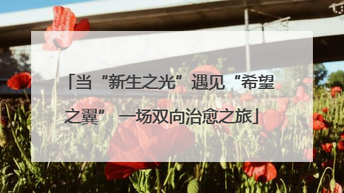 当“新生之光”遇见“希望之翼” 一场双向治愈之旅