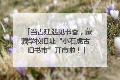 当古建遇见书香，蒙藏学校旧址“小石虎古旧书市”开市啦！