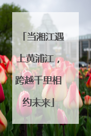 当湘江遇上黄浦江，跨越千里相约未来