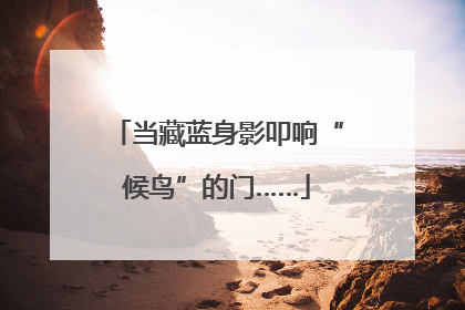当藏蓝身影叩响“候鸟”的门……