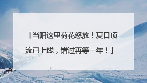 当阳这里荷花怒放！夏日顶流已上线，错过再等一年！
