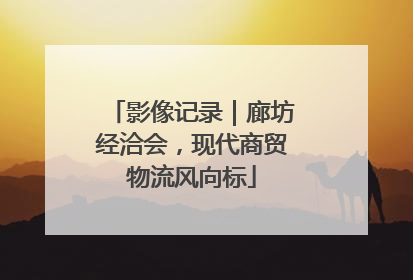 影像记录｜廊坊经洽会，现代商贸物流风向标