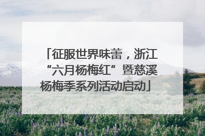 征服世界味蕾，浙江“六月杨梅红”暨慈溪杨梅季系列活动启动