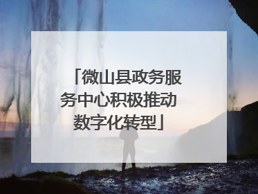 微山县政务服务中心积极推动数字化转型