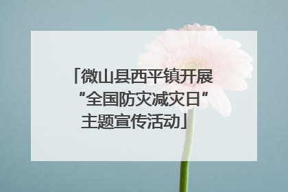 微山县西平镇开展“全国防灾减灾日”主题宣传活动