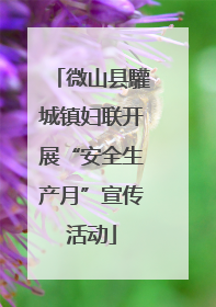 微山县驩城镇妇联开展“安全生产月”宣传活动
