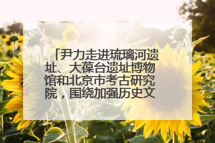 尹力走进琉璃河遗址、大葆台遗址博物馆和北京市考古研究院，围绕加强历史文化名城保护调研