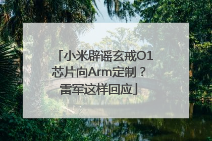 小米辟谣玄戒O1芯片向Arm定制？雷军这样回应