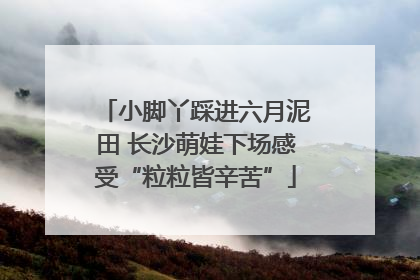 小脚丫踩进六月泥田 长沙萌娃下场感受“粒粒皆辛苦”