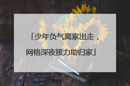 少年负气离家出走，网格深夜接力助归家