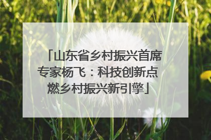山东省乡村振兴首席专家杨飞：科技创新点燃乡村振兴新引擎