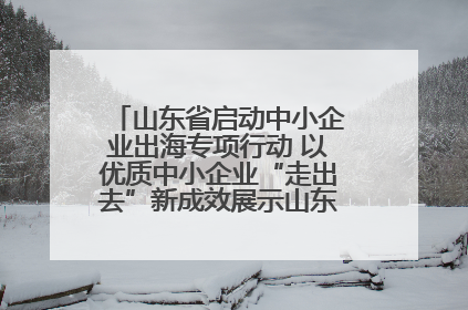 山东省启动中小企业出海专项行动 以优质中小企业“走出去”新成效展示山东产业发展新形象