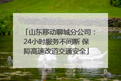 山东移动聊城分公司：24小时服务不间断 保障高速改道交通安全