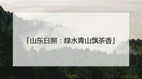 山东日照：绿水青山飘茶香