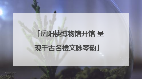 岳阳楼博物馆开馆 呈现千古名楼文脉琴韵