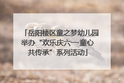 岳阳楼区童之梦幼儿园举办“欢乐庆六一·童心共传承”系列活动