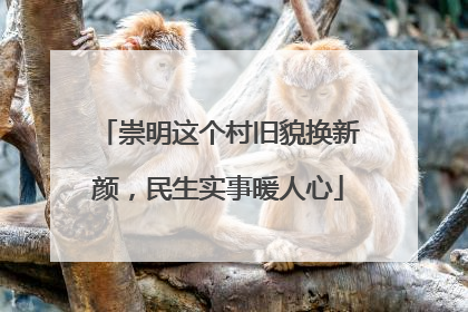 崇明这个村旧貌换新颜，民生实事暖人心