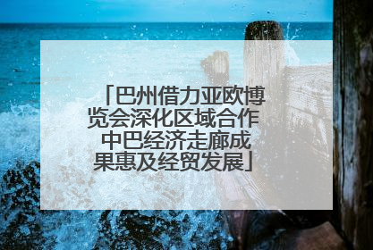 巴州借力亚欧博览会深化区域合作 中巴经济走廊成果惠及经贸发展
