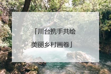 川台携手共绘美丽乡村画卷