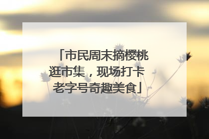 市民周末摘樱桃逛市集，现场打卡老字号奇趣美食