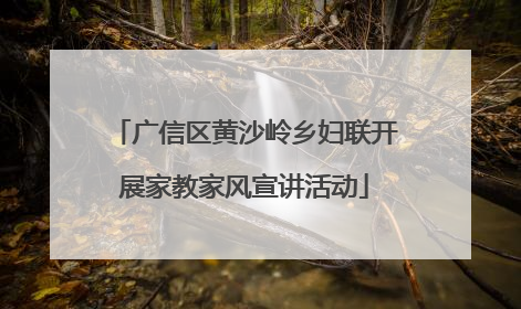广信区黄沙岭乡妇联开展家教家风宣讲活动