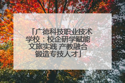 广德科技职业技术学校：校企研学赋能文旅实践 产教融合锻造专技人才