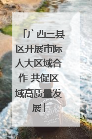 广西三县区开展市际人大区域合作 共促区域高质量发展
