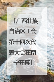 广西壮族自治区工会第十四次代表大会在南宁开幕