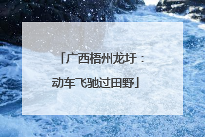 广西梧州龙圩：动车飞驰过田野
