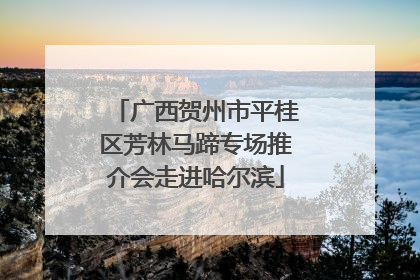 广西贺州市平桂区芳林马蹄专场推介会走进哈尔滨