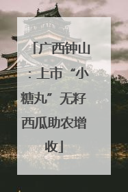 广西钟山：上市“小糖丸”无籽西瓜助农增收