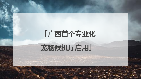 广西首个专业化宠物候机厅启用