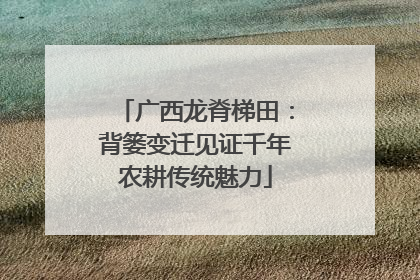 广西龙脊梯田：背篓变迁见证千年农耕传统魅力